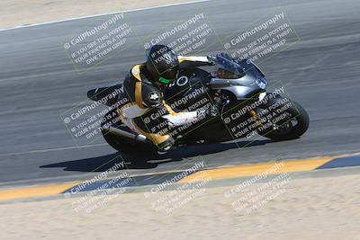 media/Feb-03-2024-SoCal Trackdays (Sat) [[767c60a41c]]/10-Turn 10 Inside (130pm)/